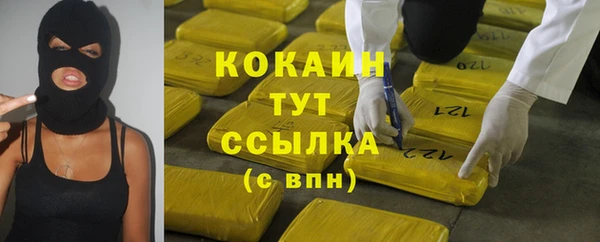 МДПВ Елизово