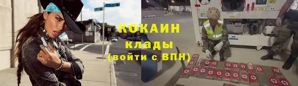 МДПВ Елизово