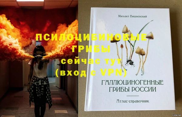 героин Елабуга