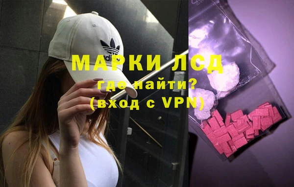 spice Бежецк