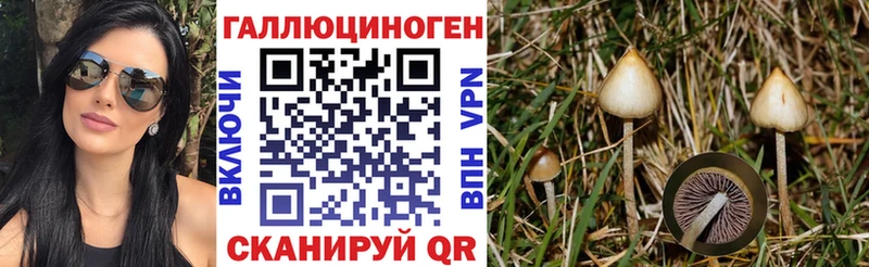 Галлюциногенные грибы Psilocybine cubensis  где можно купить   Астрахань 
