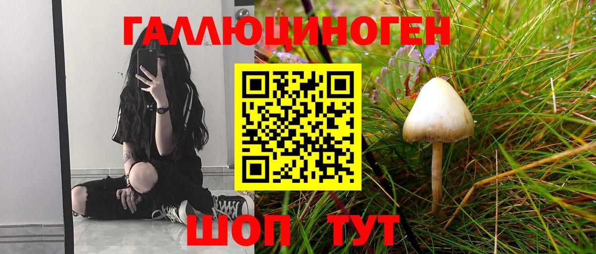 Галлюциногенные грибы мухоморы  Вход с VPN  Россия 