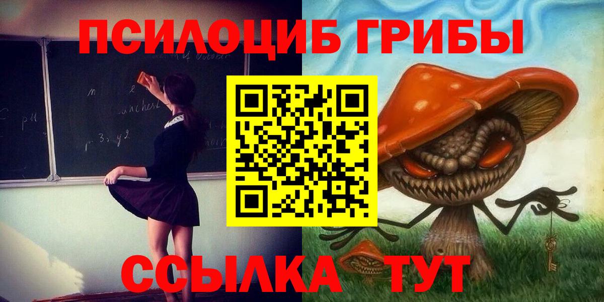 Псилоцибиновые грибы Cubensis Россия